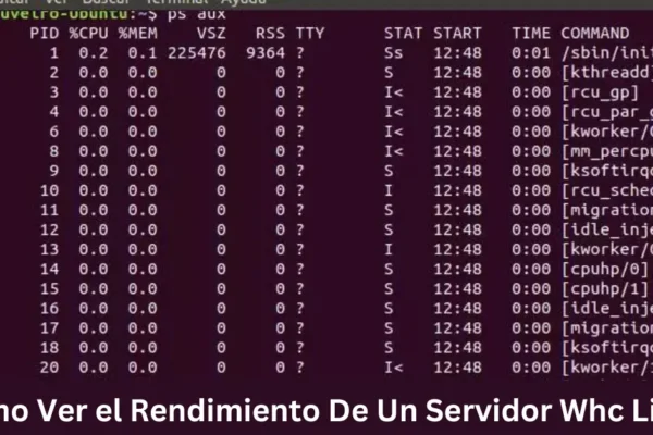 como ver el rendimiento de un servidor whc linux