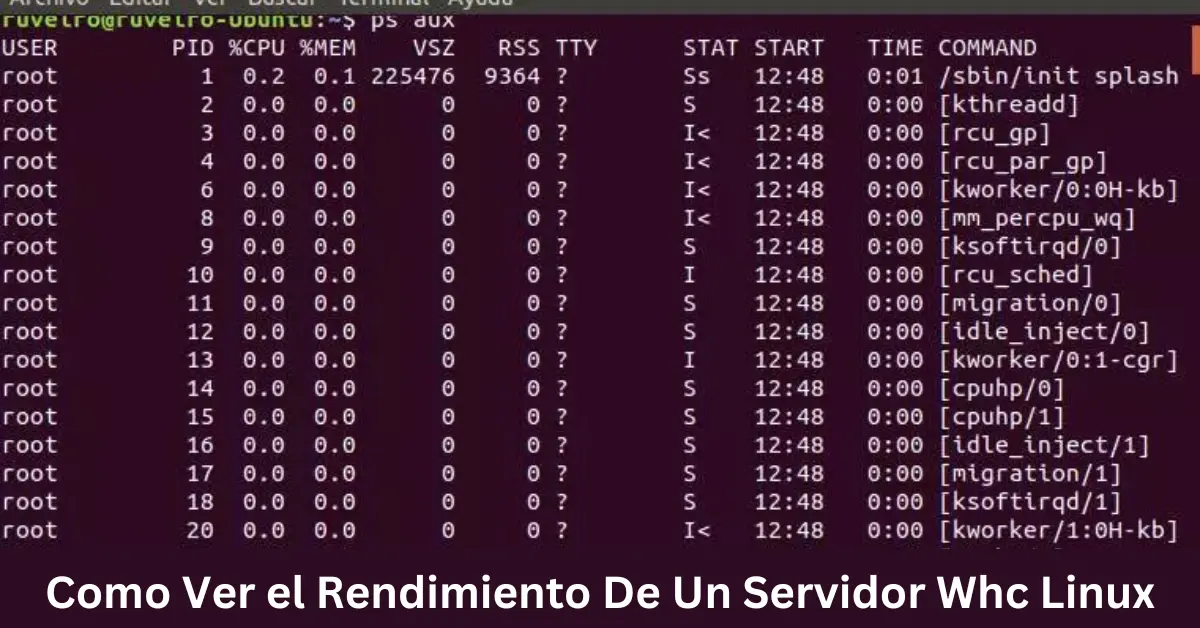 como ver el rendimiento de un servidor whc linux