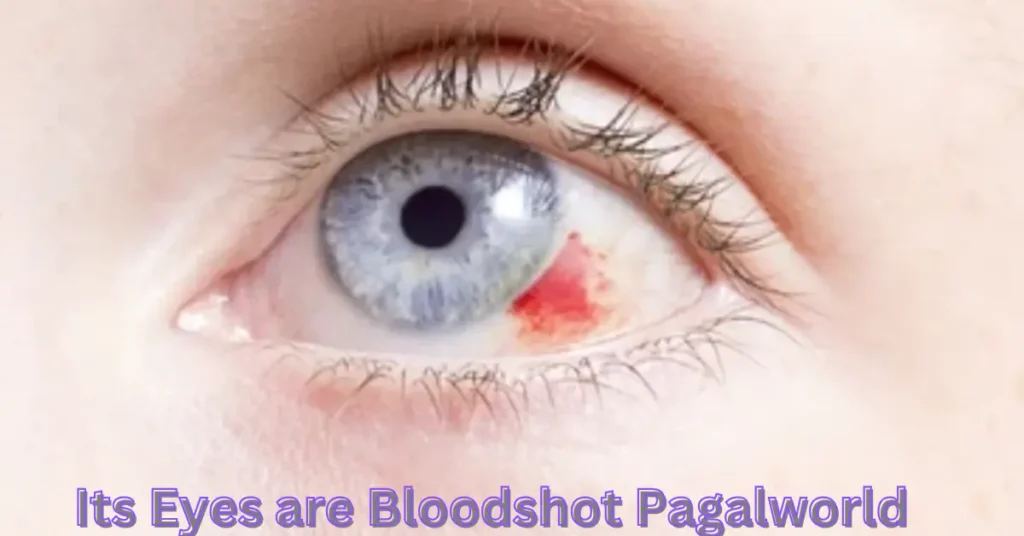 its eyes are bloodshot pagalworld