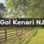 Gol Kenari NJ